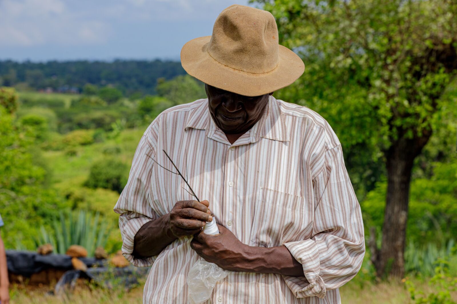 Nigeria’s Digital-Human Extension Model Targets Knowledge Gaps Facing Millions of Smallholders Nationwide