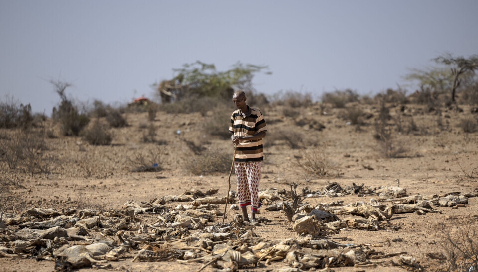 Nigeria faces highest projected heat death toll as El Niño intensifies