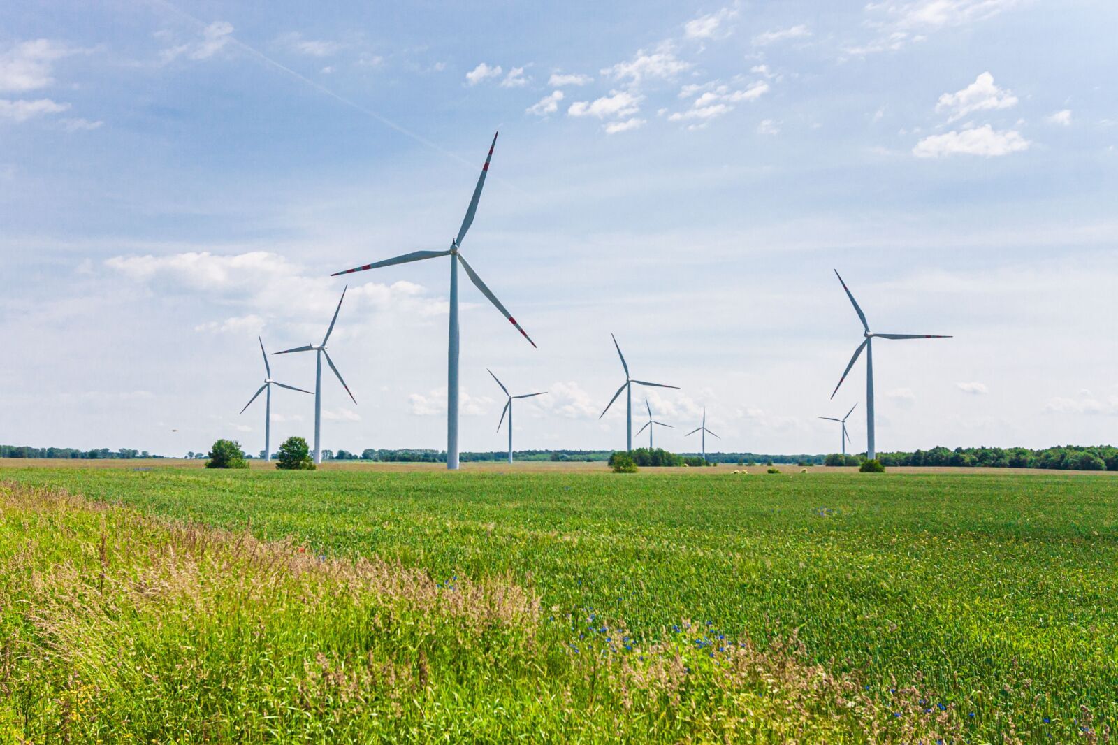 North Africa expands wind turbine manufacturing ambitions, strengthening regional renewable industrial leadership and competitiveness