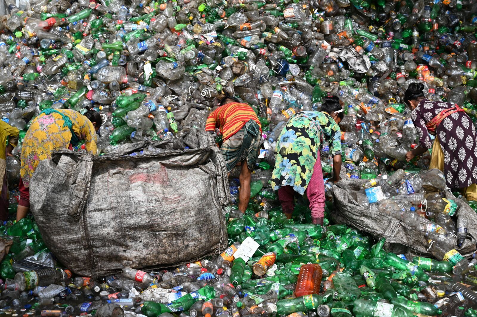 Plastic Pollution Is Destroying Biodiversity Worth $58 Trillion, and Africa Is Exposed
