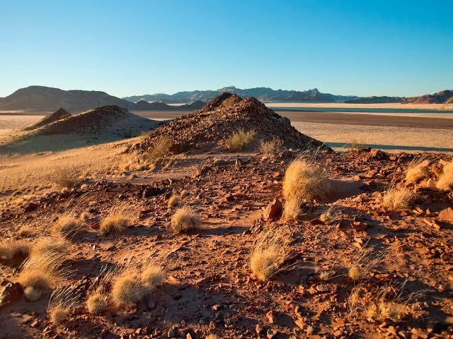 Satellite Study Finds Dryland Greening Hides Increasing Instability Across Global Ecosystems