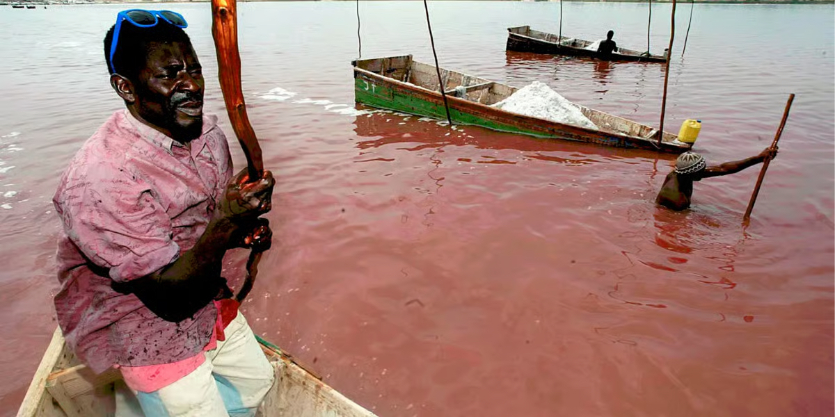 Senegal’s Pink Lake Revival Restores Salt Livelihoods After Four-Year Ecological Disruption