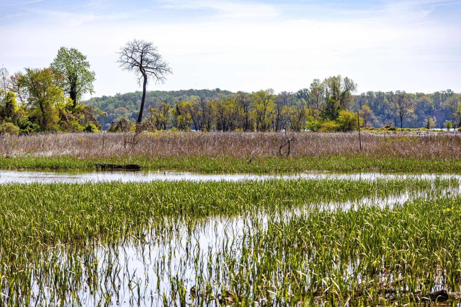 The Invisible Pipeline: How Nature Degradation Drains Corporate Revenue and Investor Confidence