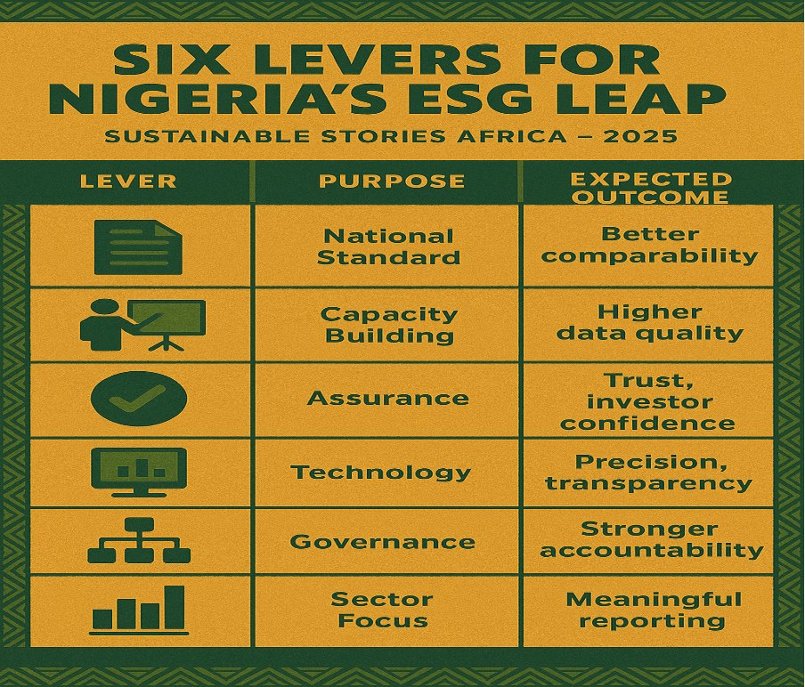 Infographic: Six Levers for Nigeria's ESG Leap