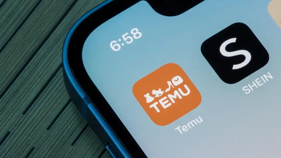 South African Unions Seek Shein And Temu Ban As Competition Debate Intensifies