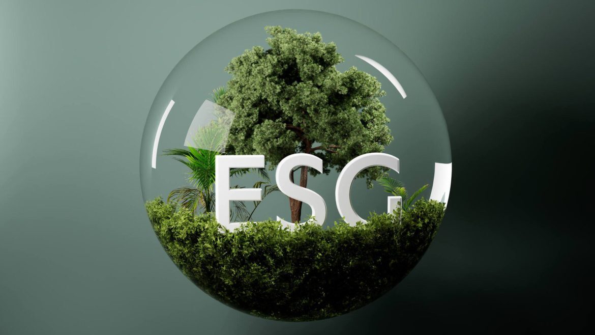 Sustainability Becomes Africa’s Economic Operating System as 2030 Market Rules Tighten Globally