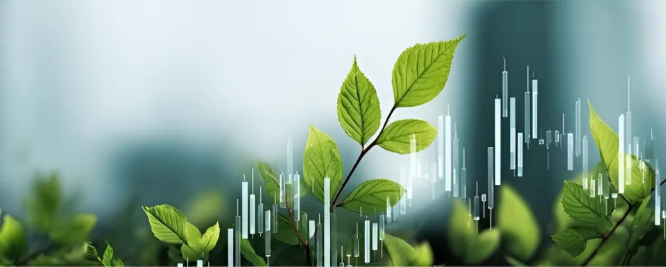 Why Sustainable, Green, and Climate Finance Need Clearer Definitions In Africa