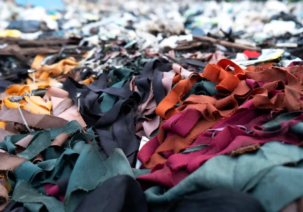 Sustainable Textiles Grow but Still Fail to Displace Fashion’s Virgin Fibre Dependence