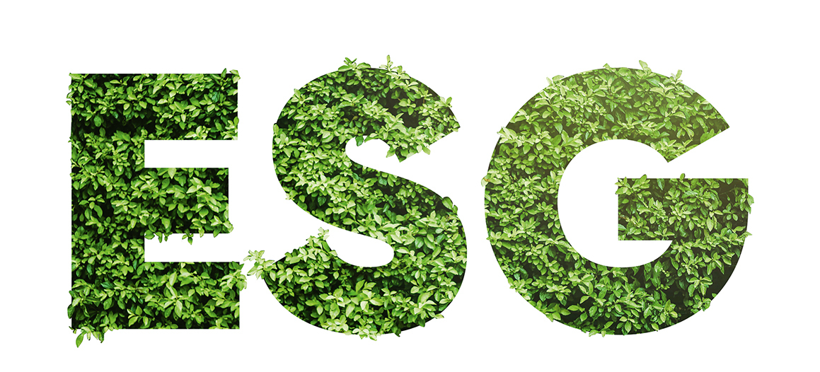 The Four ESG Maturity Stages That Every African Business Must Navigate Today