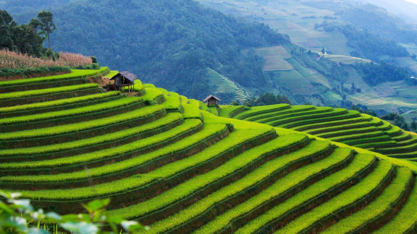 The GHG Protocol Decoded: Why Africa's Businesses Must Master Carbon Accounting Now