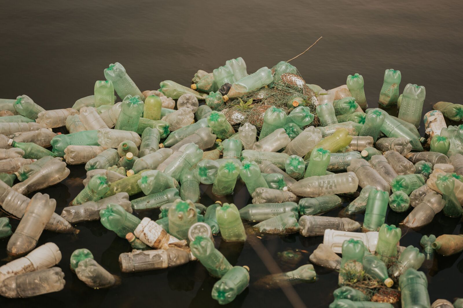 The Numbers Behind the Crisis: 16 Key Metrics on Plastic, Biodiversity, and Risk