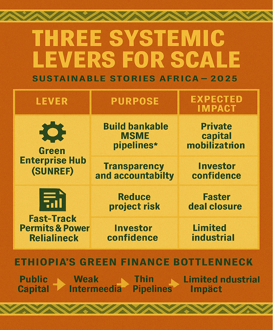 Infographic: Three Systemic Levers for Scale