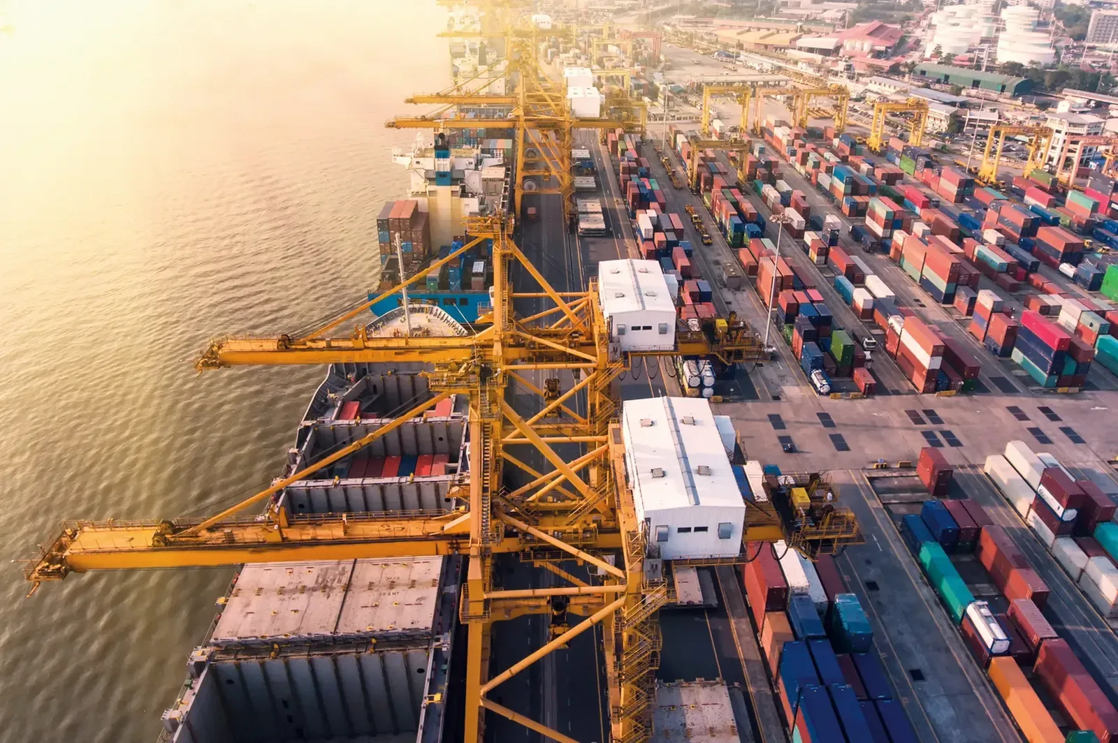 WEF urges smarter regulation to shape innovation, trust and market competitiveness globally