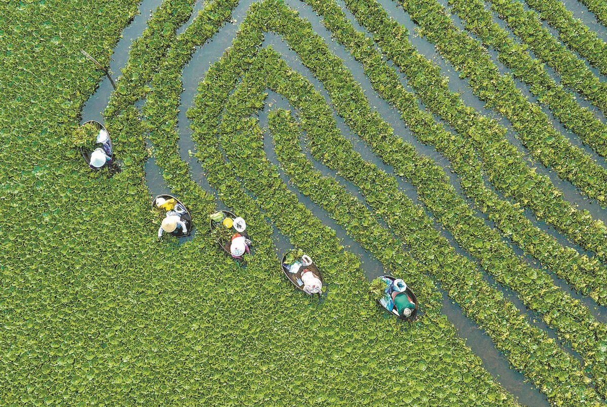 Water Systems Will Determine Food Security for 10 Billion People Globally