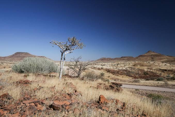 Windhoek Shows Dry African Cities How Nature Can Strengthen Climate Resilience Locally