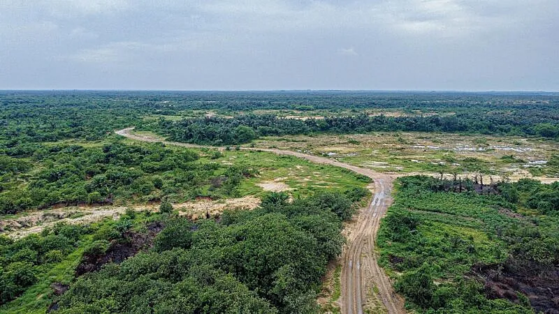 Nigeria’s Biodiversity Crisis Remains Underreported Amid Rising Ecological And Climate Risks Today