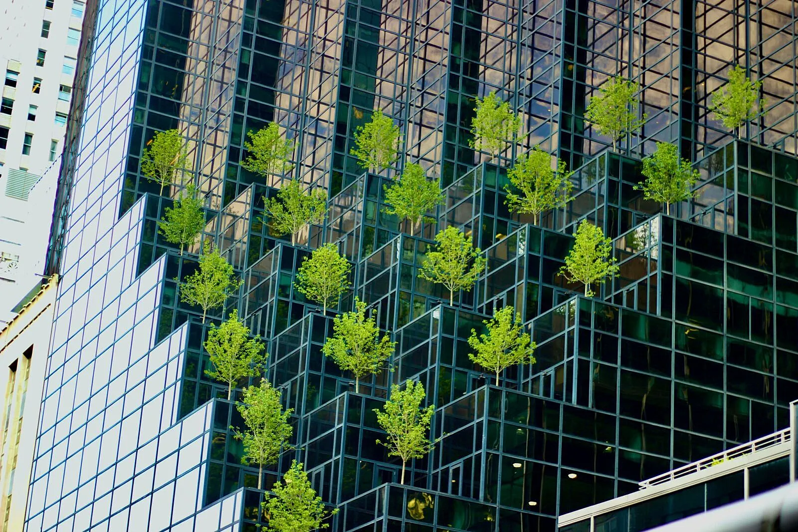 Green Bonds Rise as Africa Seeks Capital for Climate-Resilient Infrastructure and Growth