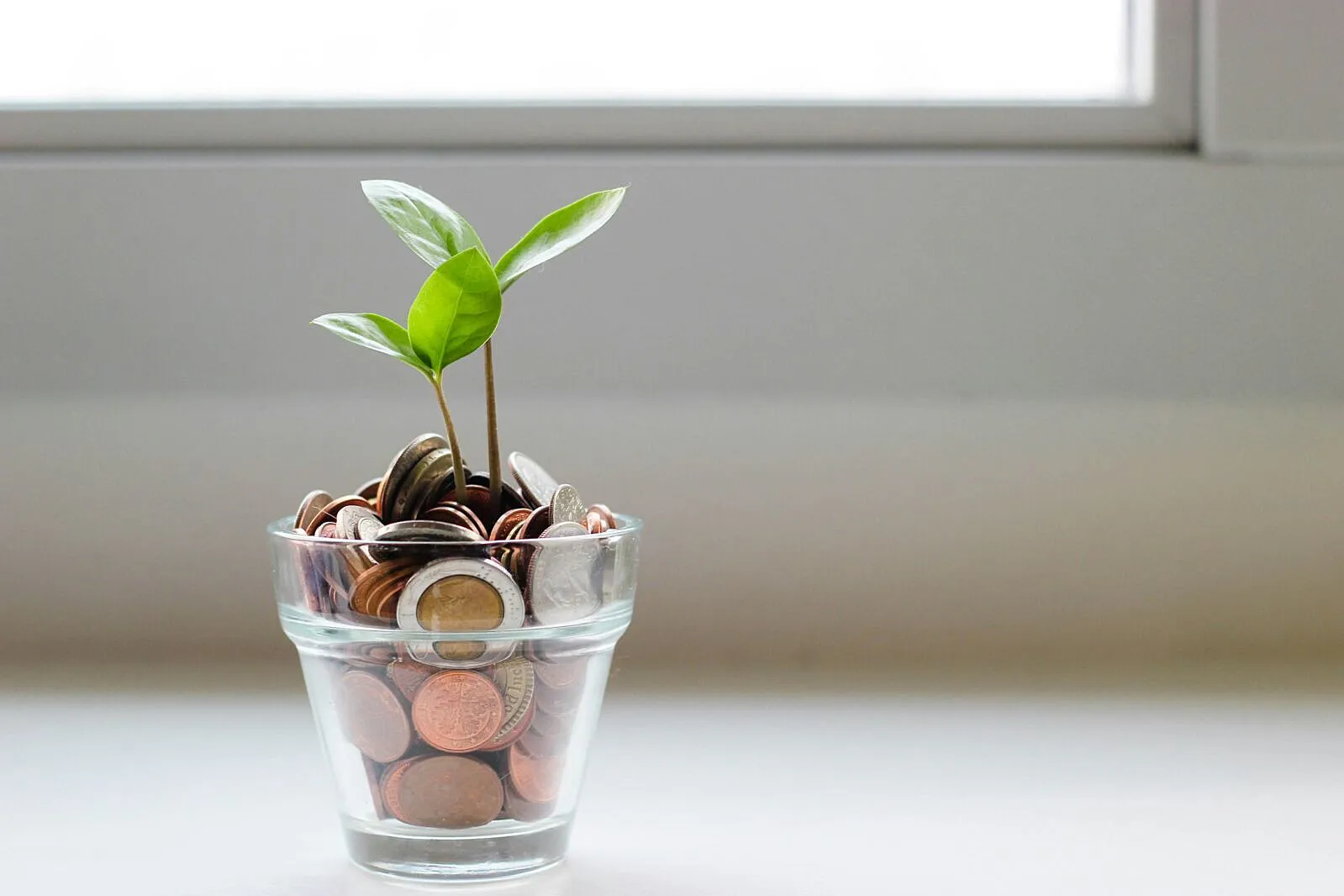 Sustainable Finance Expands as Capital Markets Redirect Investment Toward Climate Resilience