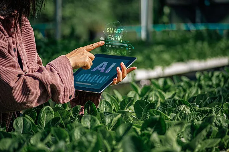 Artificial Intelligence Accelerates Climate And Nature Solutions Across Energy, Agriculture And Conservation