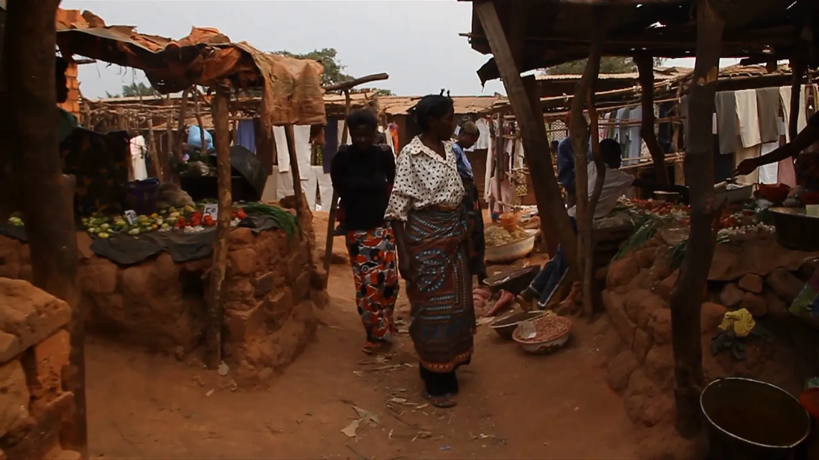 Climate risk disclosures accelerate across African markets amid evolving global sustainability standards