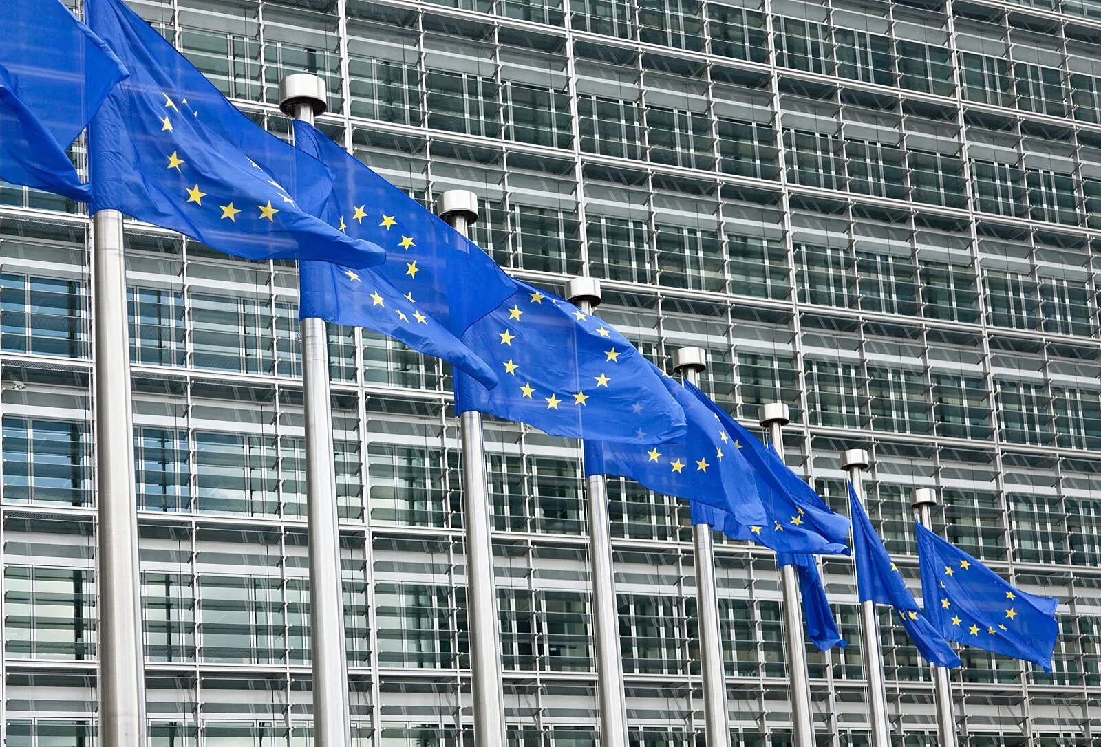 CSDDD Expands Beyond Europe: What It Means for African Businesses and Global Value Chains