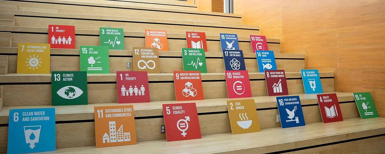 Understanding the SDGs Requires More Than Icons; It Demands Systems Thinking