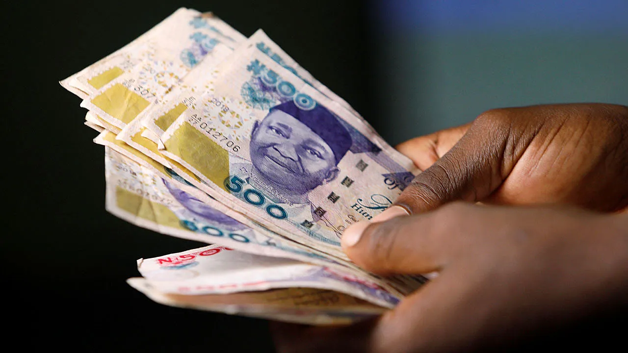 The Money Is There: Here's How Nigerian MSMEs Can Finally Access It
