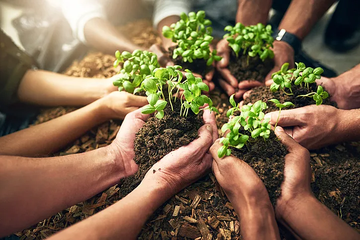 Nature markets can scale only if integrity, trust and capital align