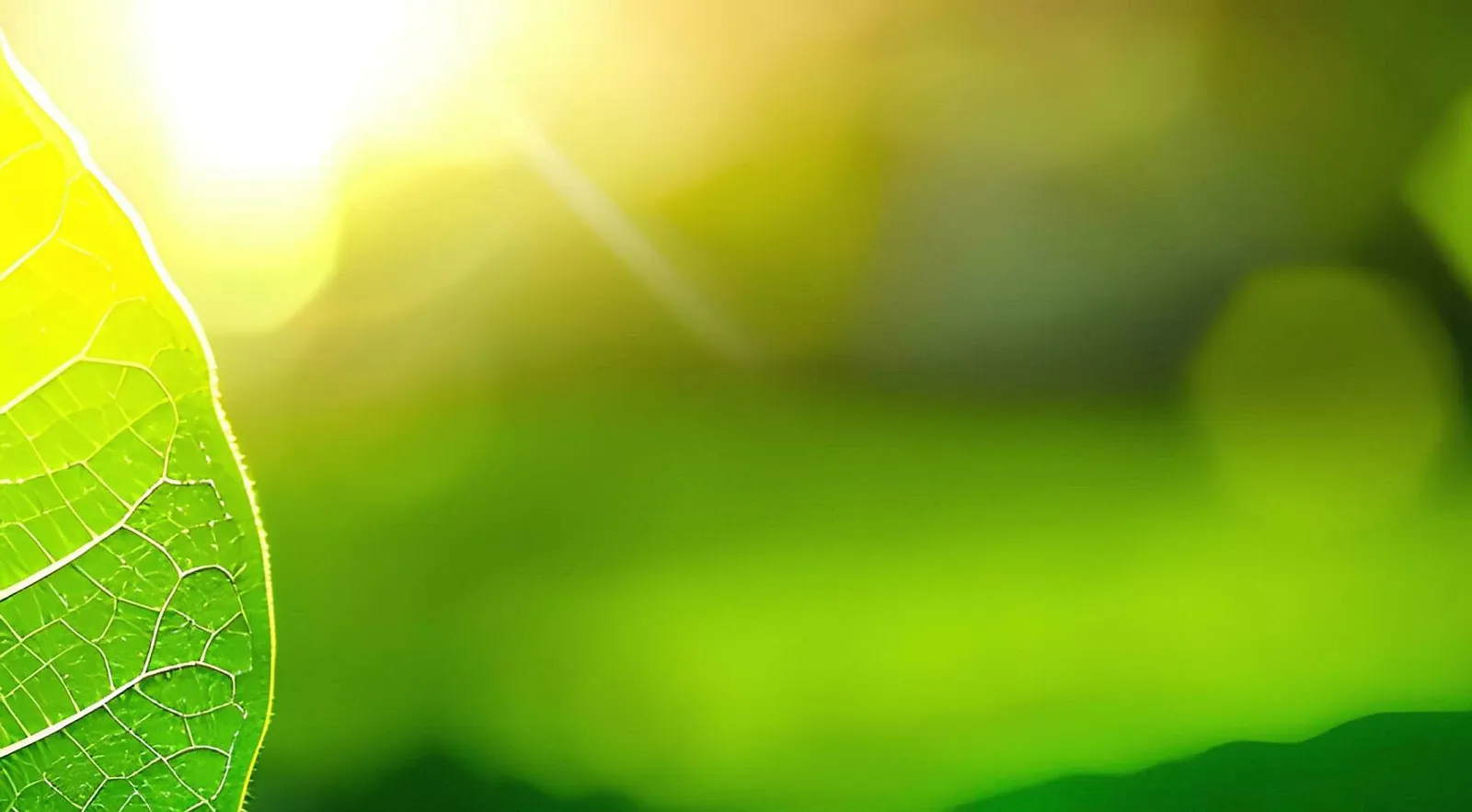 ISSA 5000 guidance raises the bar for credible sustainability assurance in Africa
