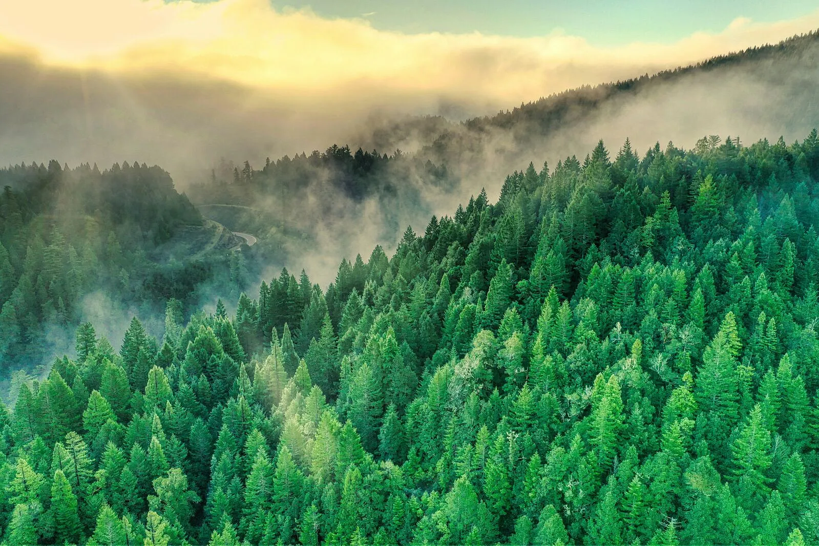 Nigeria’s Sustainability Index Shows ESG‑Ready Champions, and a Risky Disclosure Gap