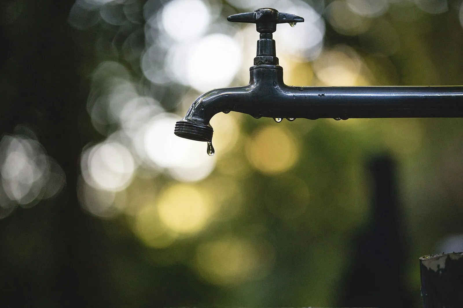 Water Solutions Can Feed Billions If Africa Turns Irrigation Into Jobs Now
