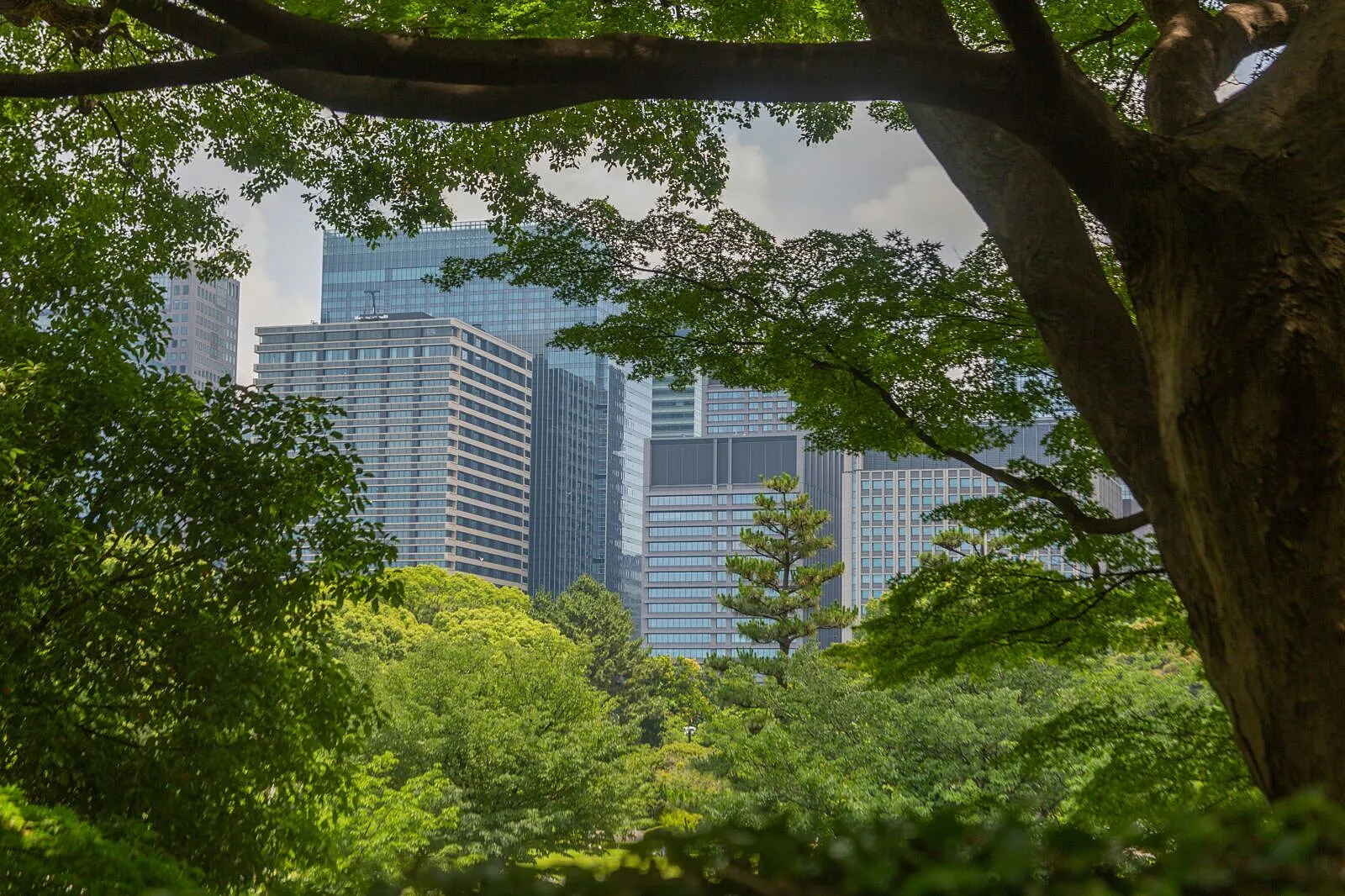 Nature Can Protect African Cities If Policy Turns Ecosystems Into Infrastructure Now