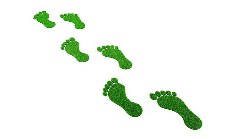 Carbon Footprints Are Becoming A Core Measure Of Business Climate Accountability Today