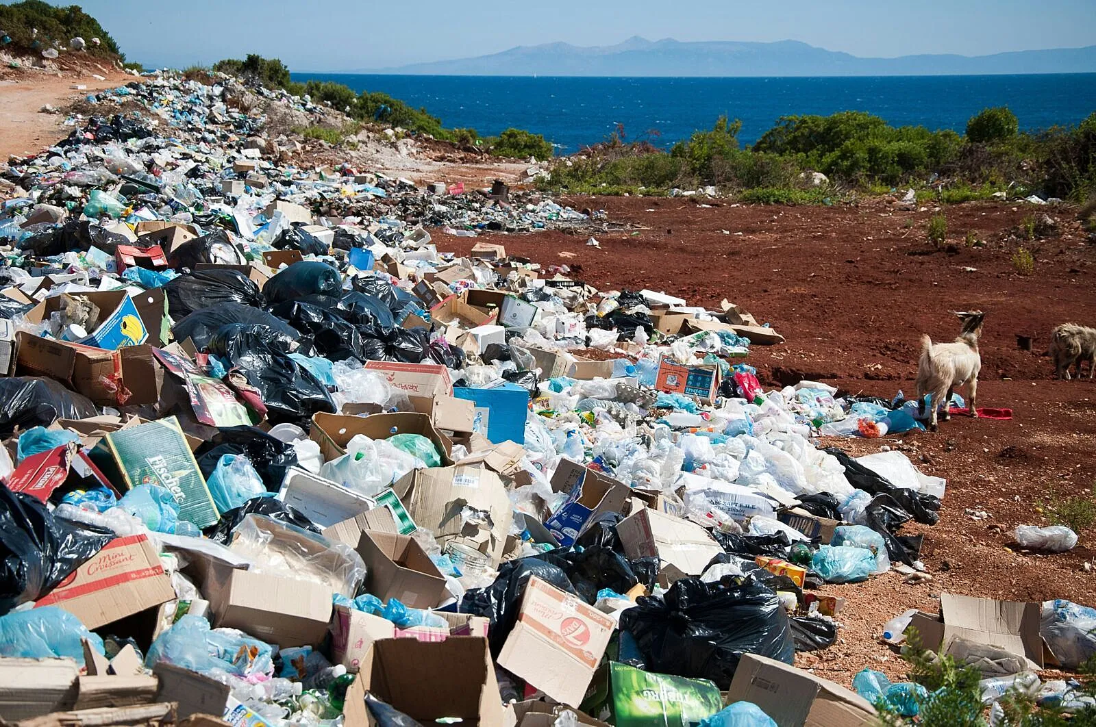 Plastic Pollution Is Deepening Biodiversity Loss and Economic Risk Across Emerging Markets