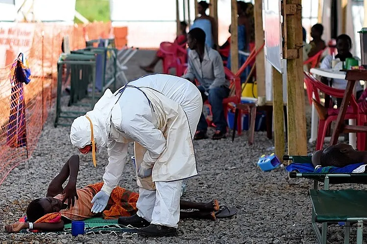 When the Healer Falls: Ebola's Invisible Tax on Africa's Frontline Workers and Knowledge Economy