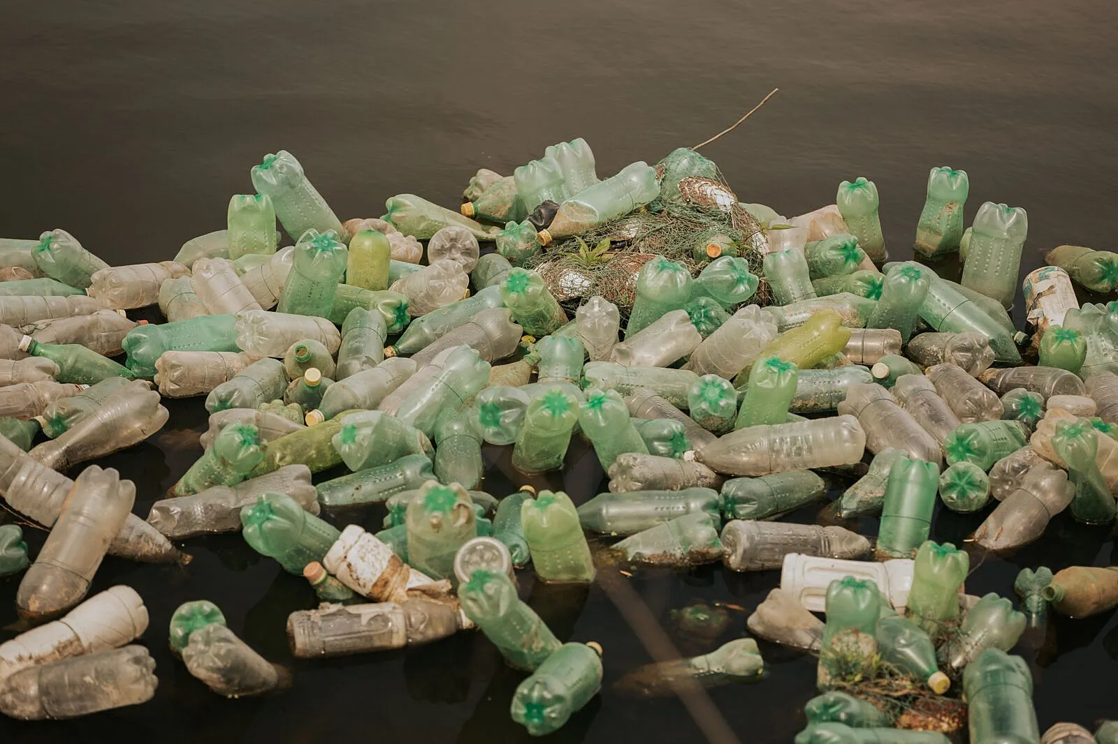 The Numbers Behind the Crisis: 16 Key Metrics on Plastic, Biodiversity, and Risk