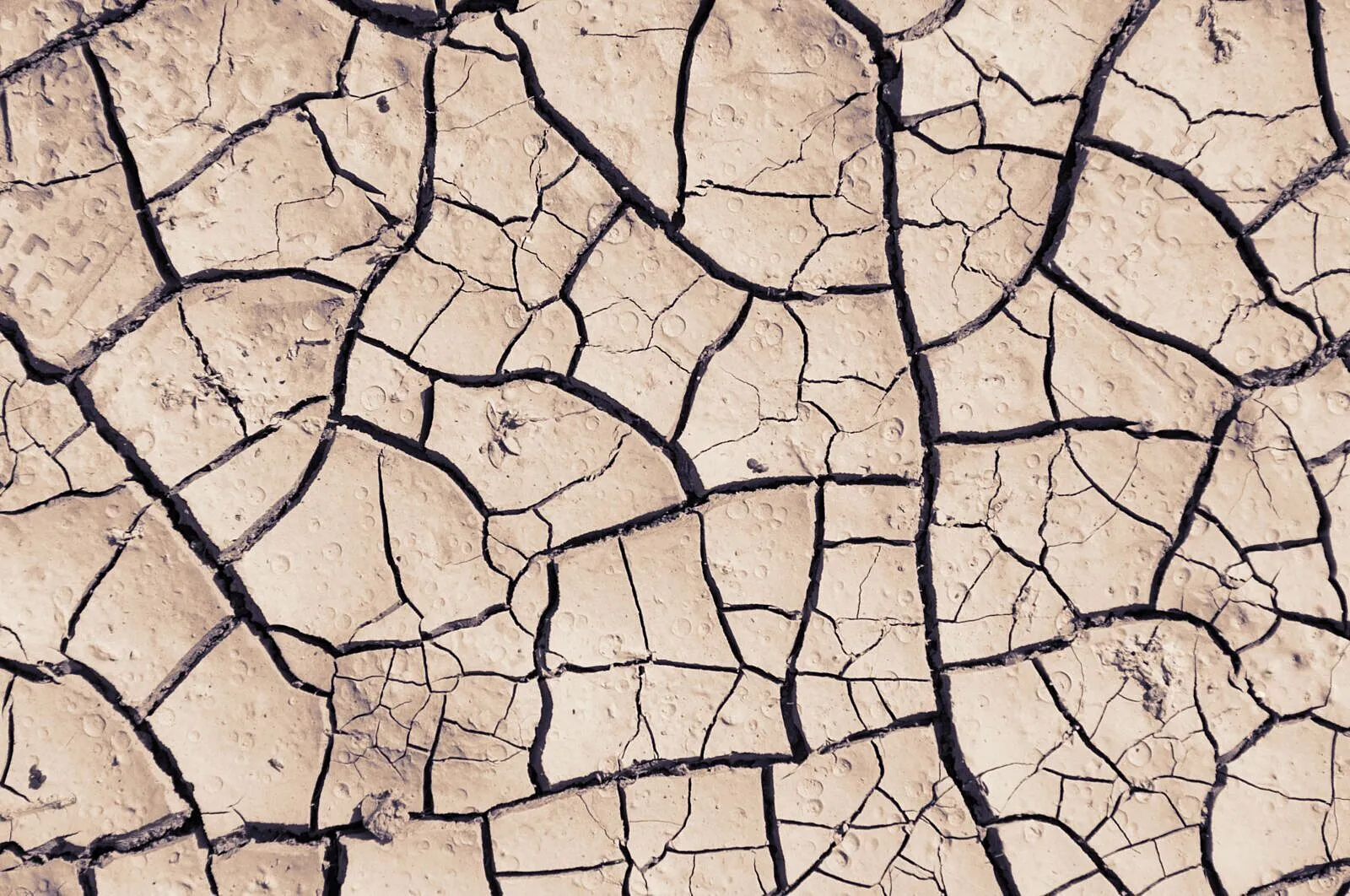 The WEF's Deprioritised Environmental Risks Are Africa's Most Existential Threats
