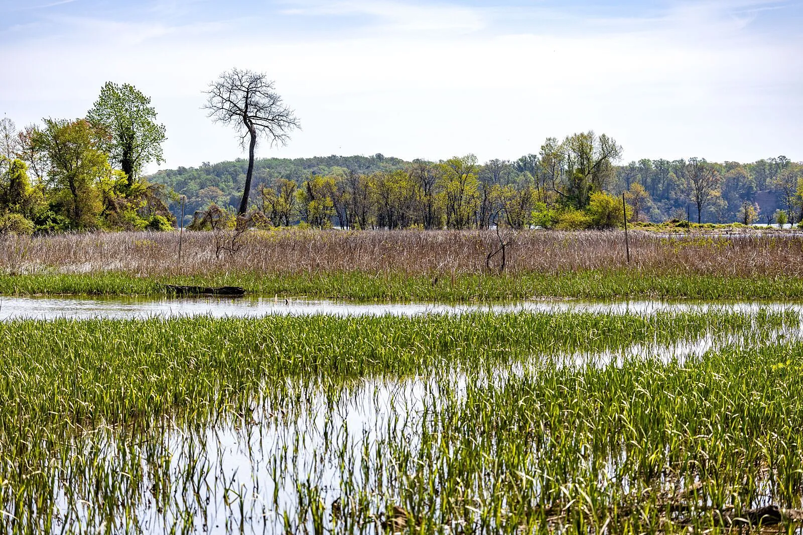 The Invisible Pipeline: How Nature Degradation Drains Corporate Revenue and Investor Confidence