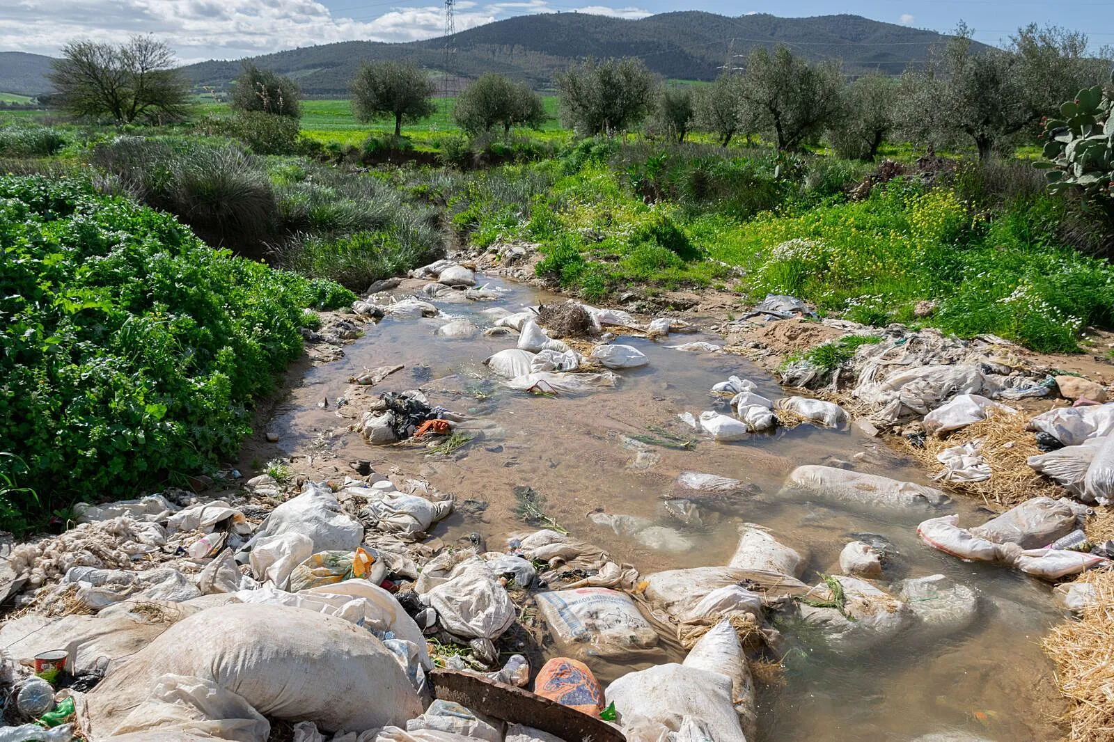From Bogotá to Nigeria's Rivers: Mapping Where Plastic Is Destroying Biodiversity Most