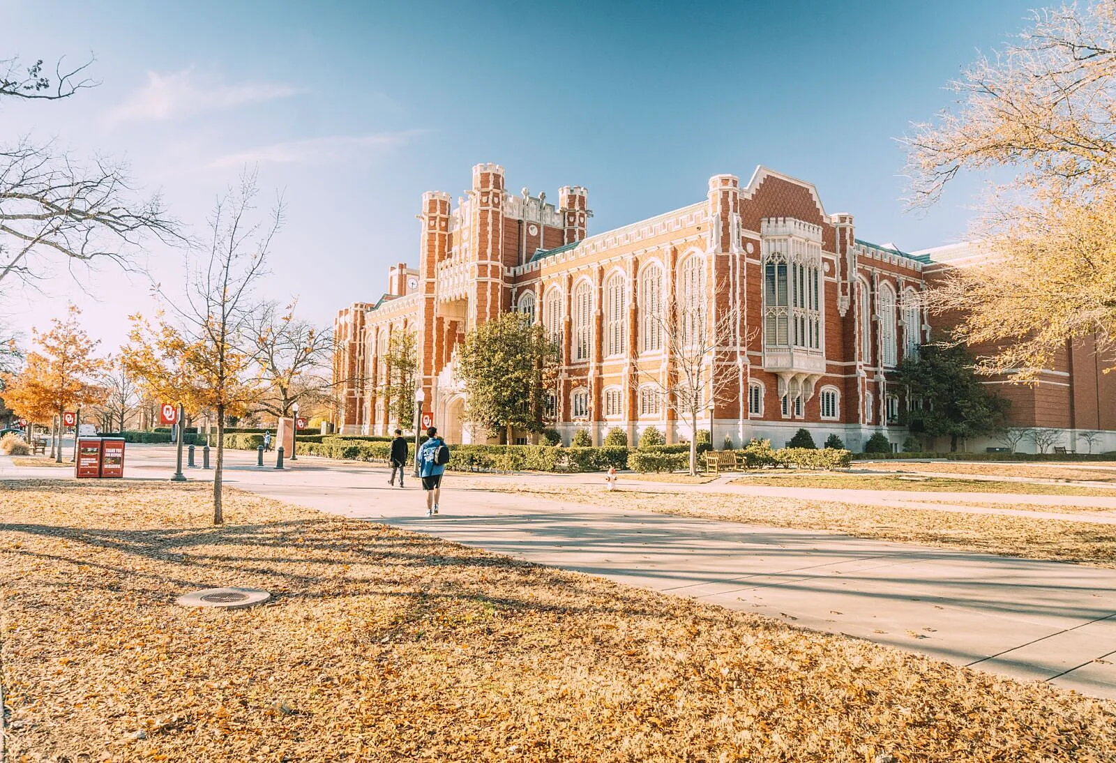 When America's Universities Are No Longer Free, Africa Should Be Deeply Alarmed and Actively Prepared