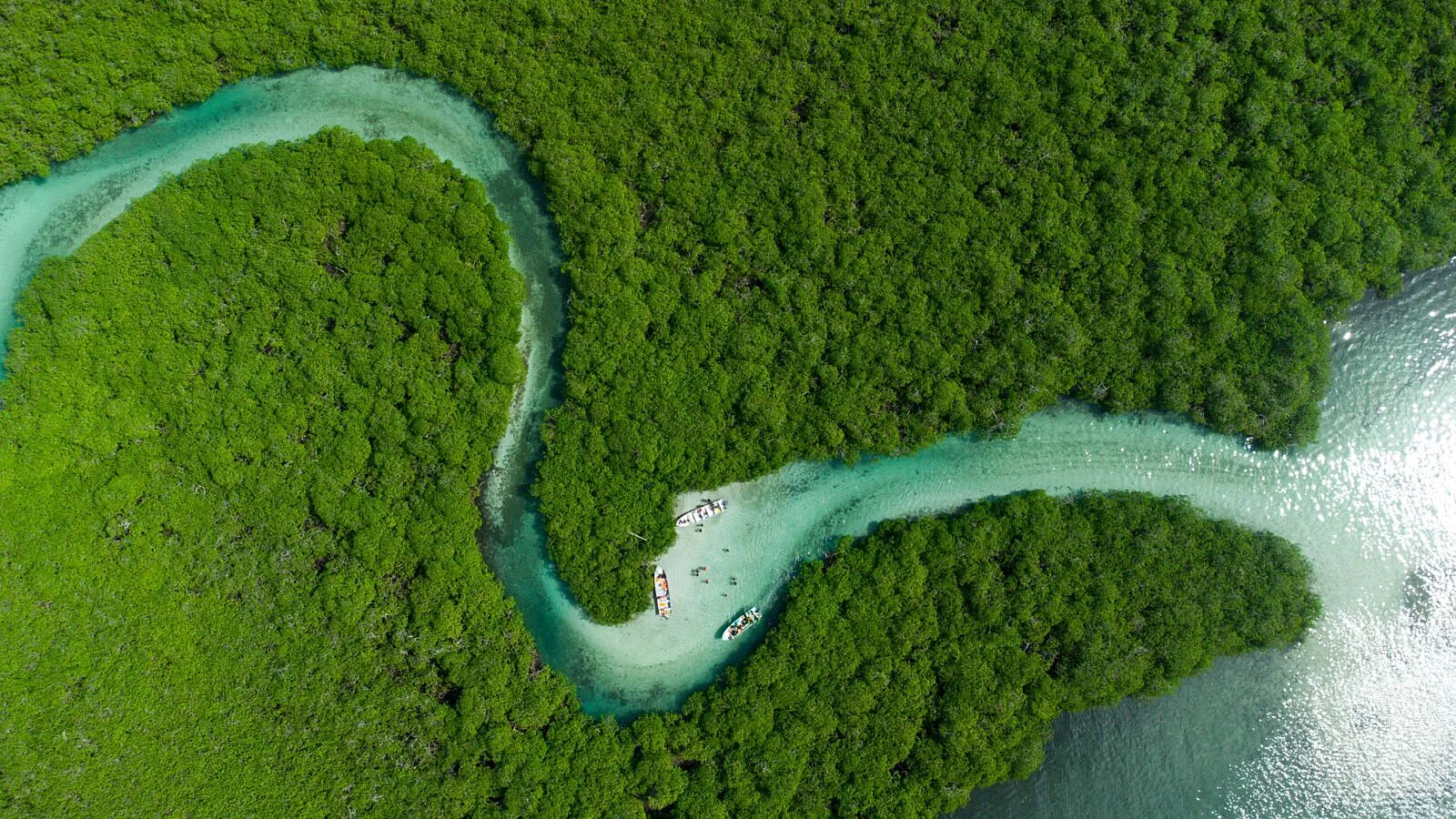 Africa Cannot Separate Plastic Pollution from Biodiversity and Here Is Why