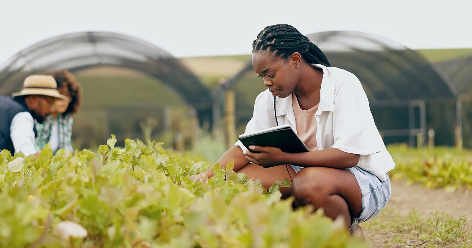 South Africa Is Running a Double Standard on Its Own Food Safety