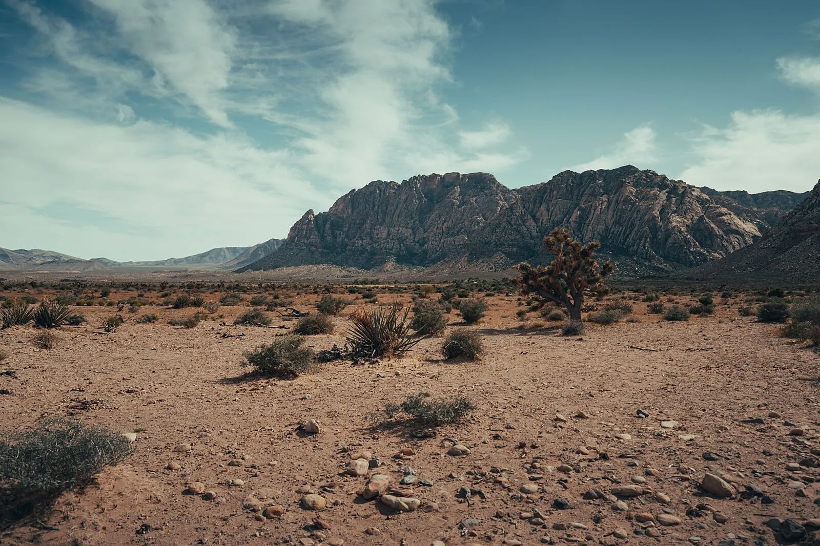 Lithium Frontlines Film Links Nevada Mining Conflicts to Africa's Critical Minerals Reckoning