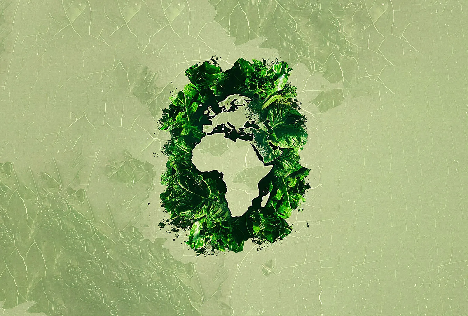 Sustainability Must Become Africa’s Business Operating System, Not Merely Its Annual Report
