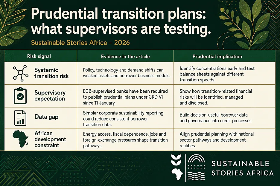 Prudential transition plans: what supervisors are testing