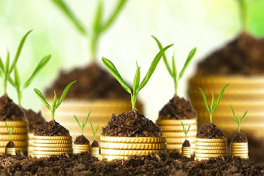 Africa’s ESG progress must move beyond disclosure towards accountability and capital allocation