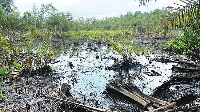 Nigeria's Oil Spill Bill Raises Penalties While Leaving Crucial Enforcement Questions Open