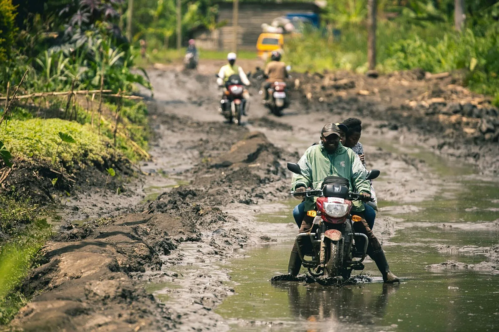 Nature Loss Could Raise Africa's Borrowing Costs And Squeeze Public Budgets Further