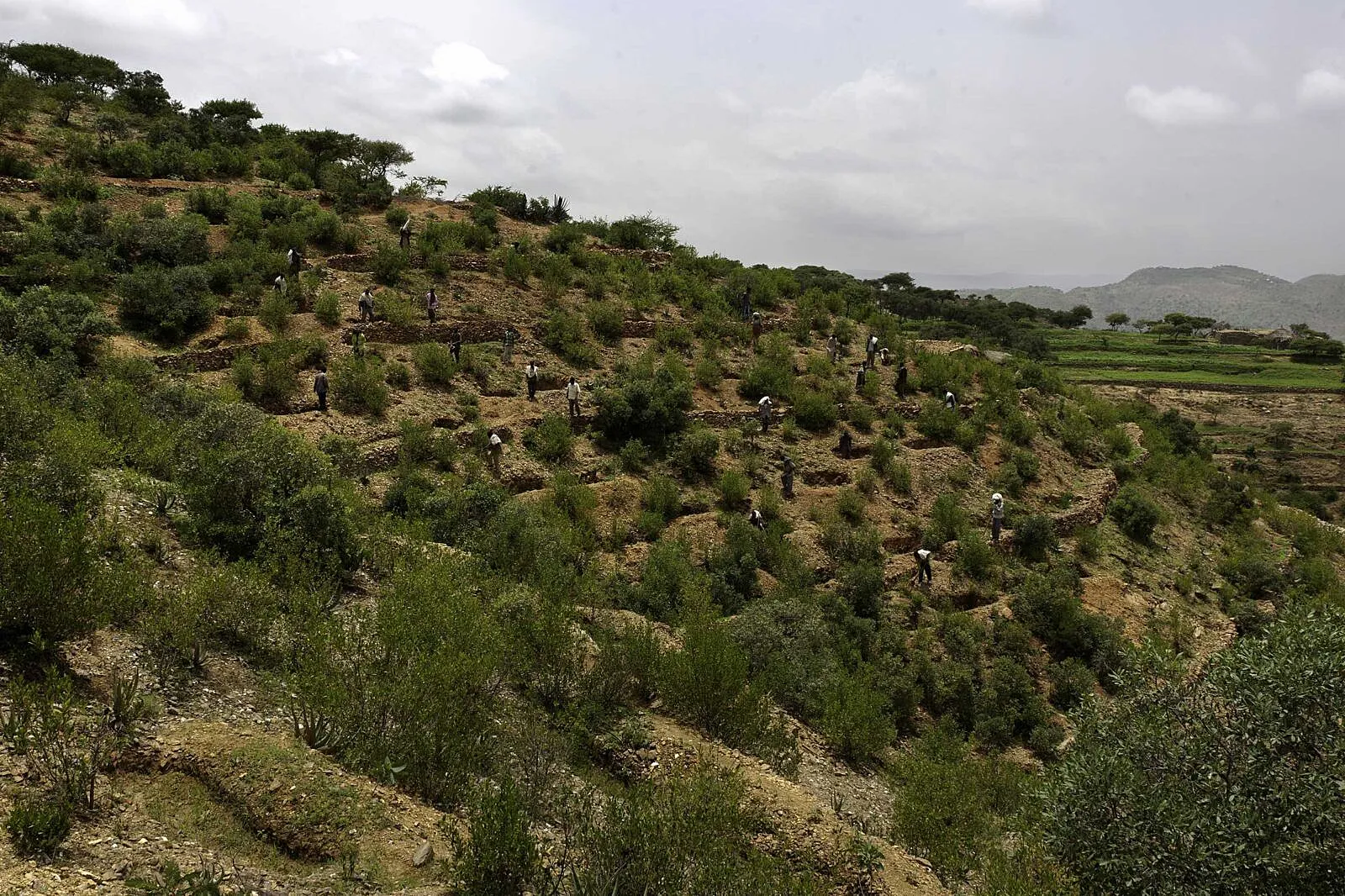 Land Restoration Finance Is Moving From Grants to Investable Resilience at Scale