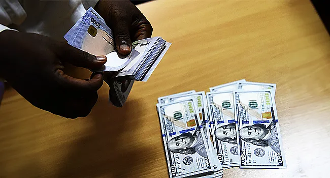 Nigeria Builds Trust Rails to Turn Diaspora Remittances Into Productive Investment Capital